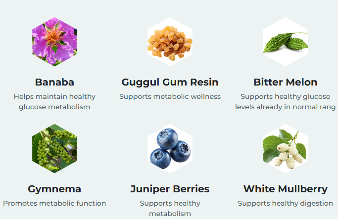 GlycoMute Ingredients