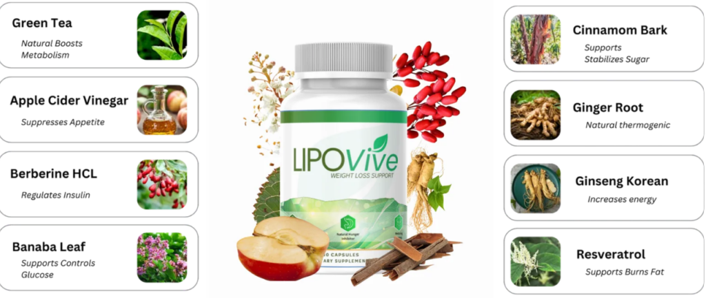 Lipovive Ingredients