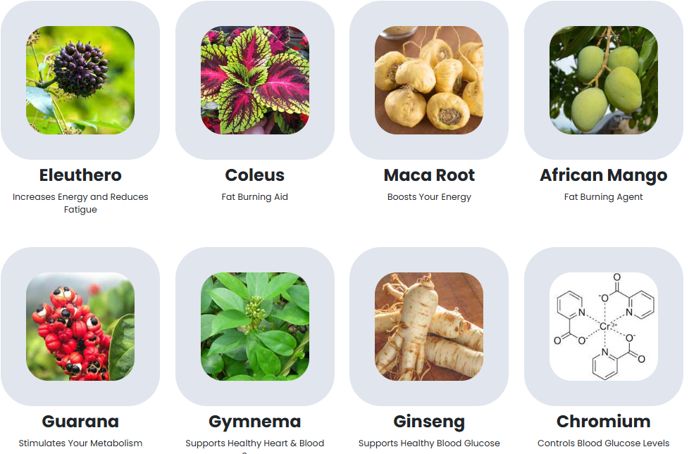 Sugar Defender Drops Ingredients